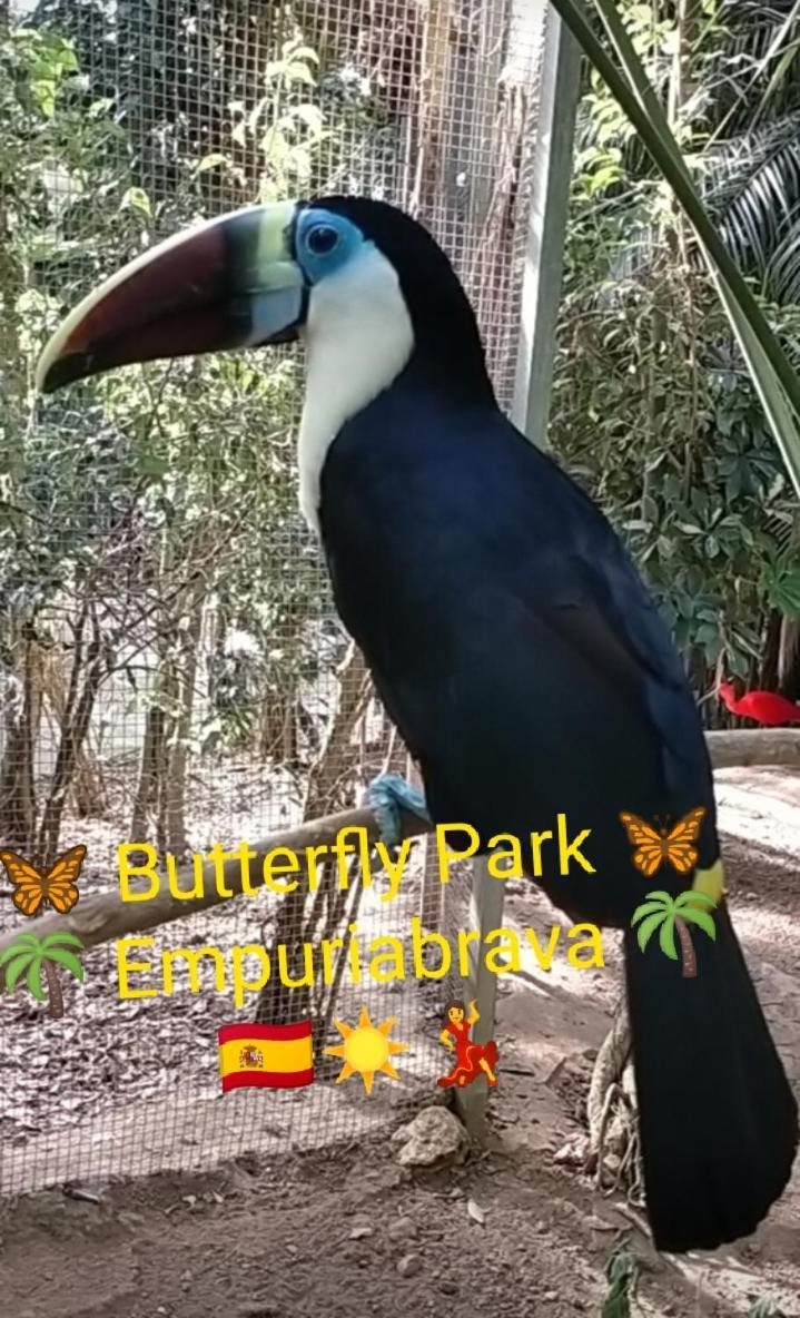 Blue Butterflies Studio Эмпуриабрава Экстерьер фото